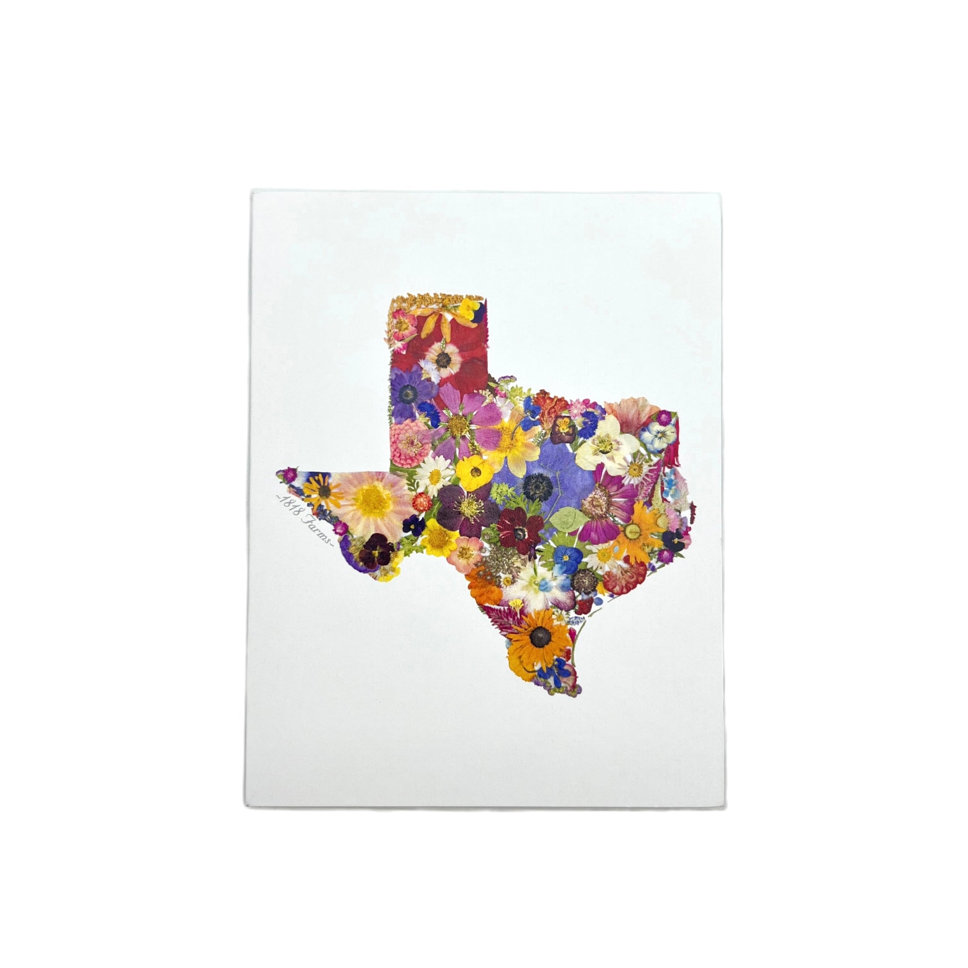 State Themed Notecards (Set of 6) Featuring Dried, Pressed Flowers - "Where I Bloom" Collection Notecard 1818 Farms Texas  