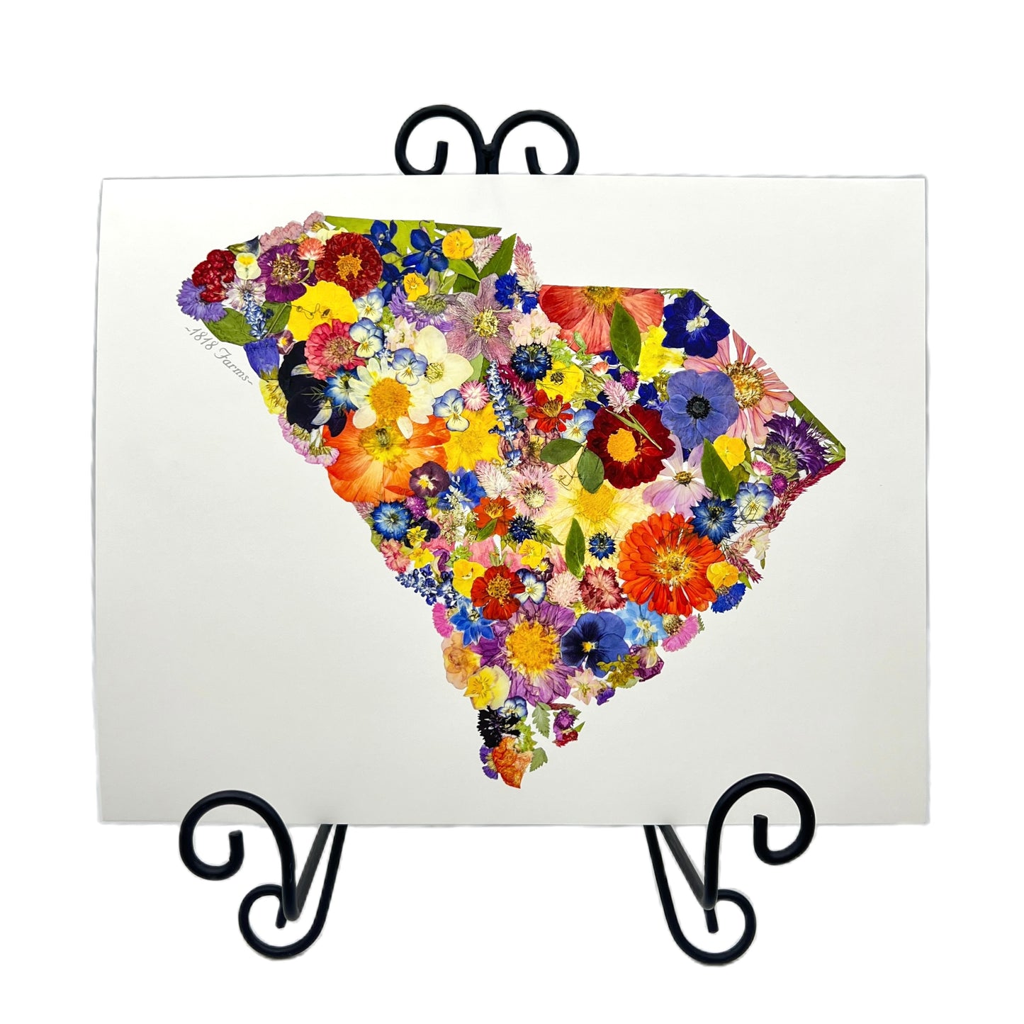 South Carolina Themed Giclée Print  - "Where I Bloom" Collection Giclee Art Print 1818 Farms   