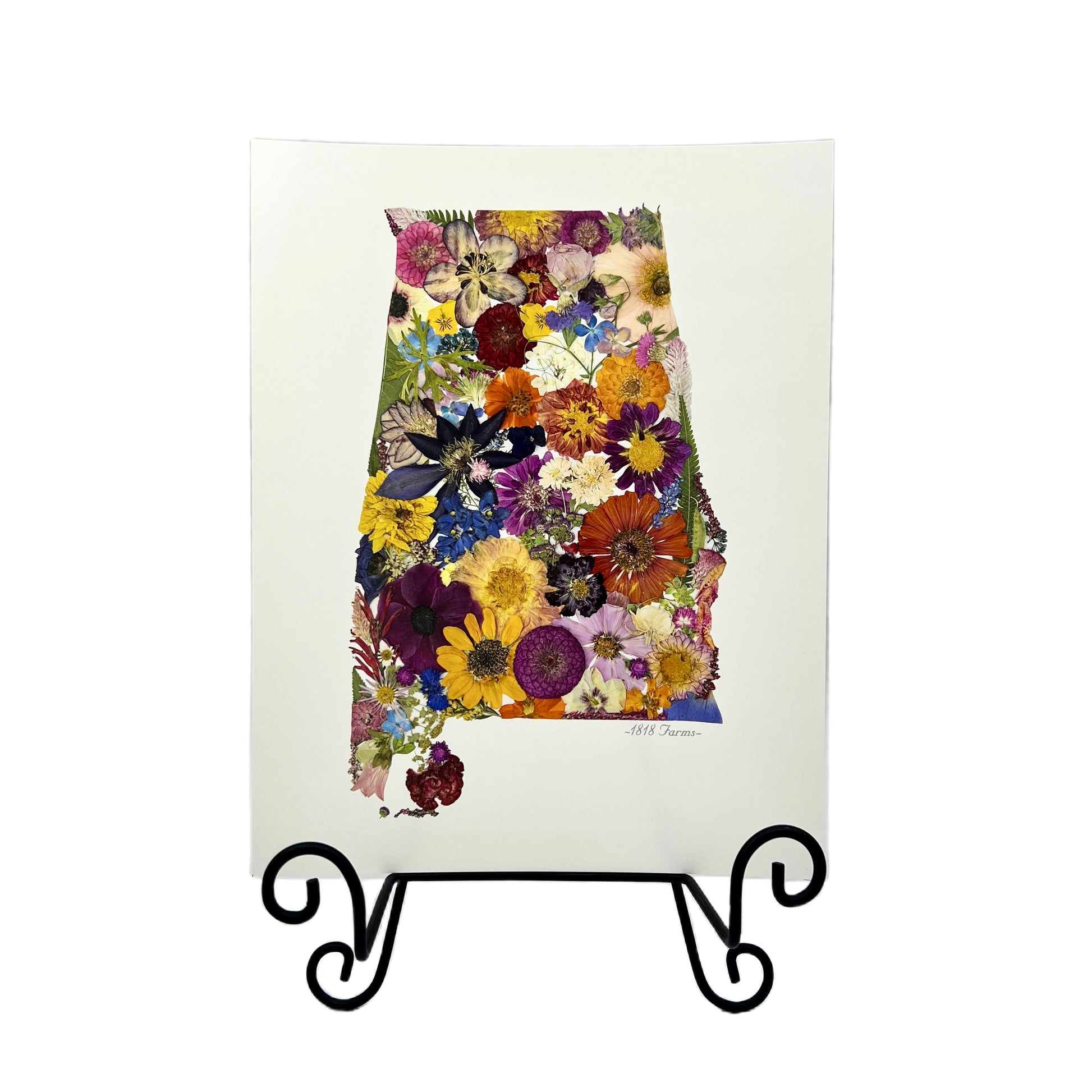 State Themed Giclée Print Featuring Dried, Pressed Flowers - "Where I Bloom" Collection Giclee Art Print 1818 Farms   