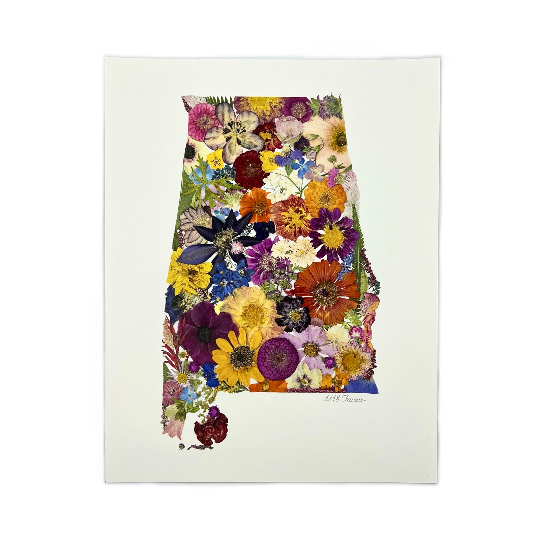 State Themed Giclée Print Featuring Dried, Pressed Flowers - "Where I Bloom" Collection Giclee Art Print 1818 Farms 11"x14" Alabama 