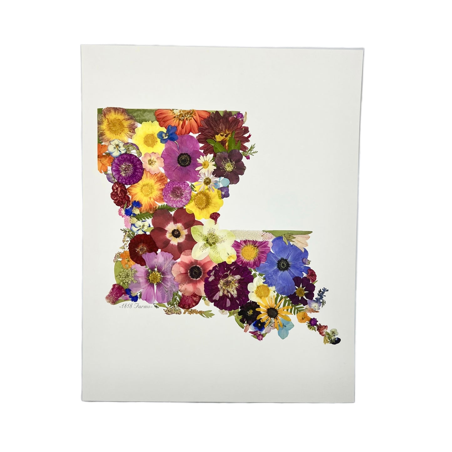 Louisiana Themed Giclée Print Featuring Dried, Pressed Flowers - "Where I Bloom" Collection Giclee Art Print 1818 Farms   