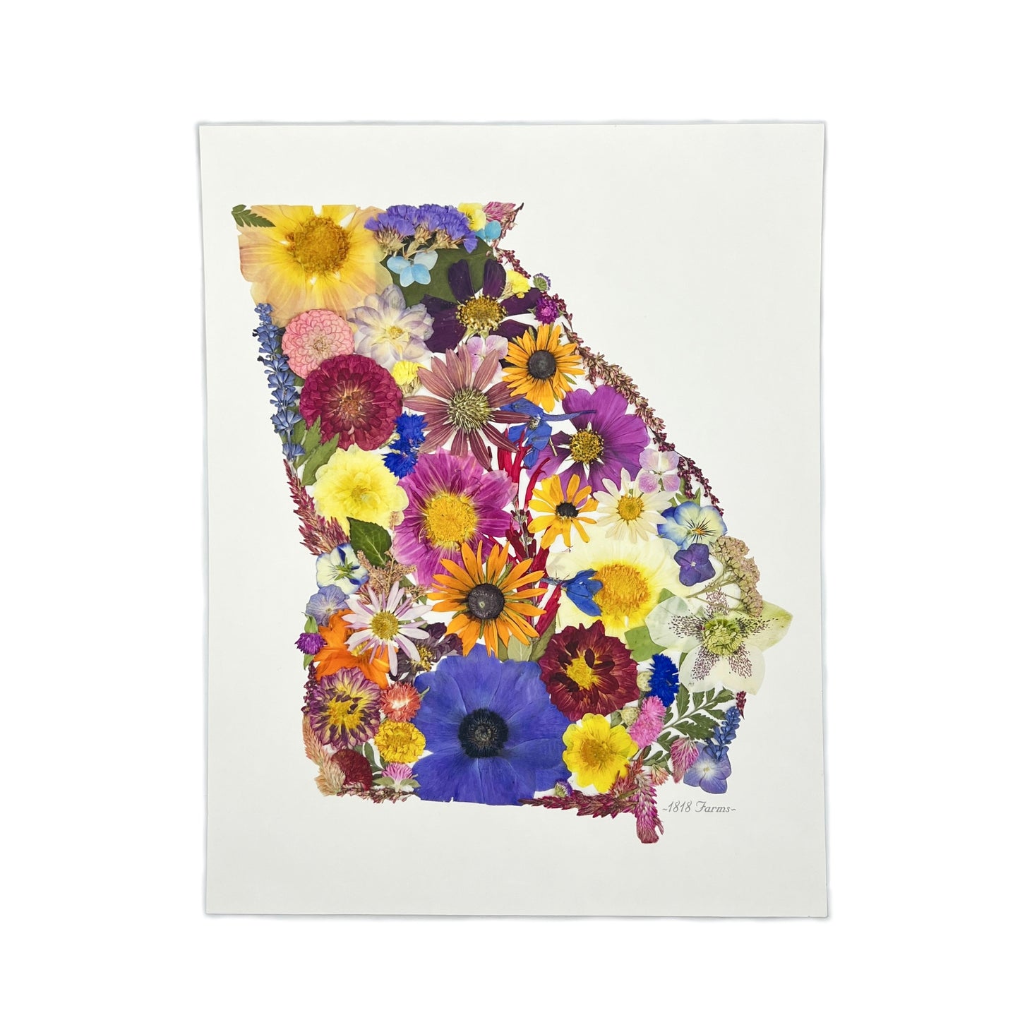 Georgia Themed Giclée Print Featuring Dried, Pressed Flowers - "Where I Bloom" Collection Giclee Art Print 1818 Farms   