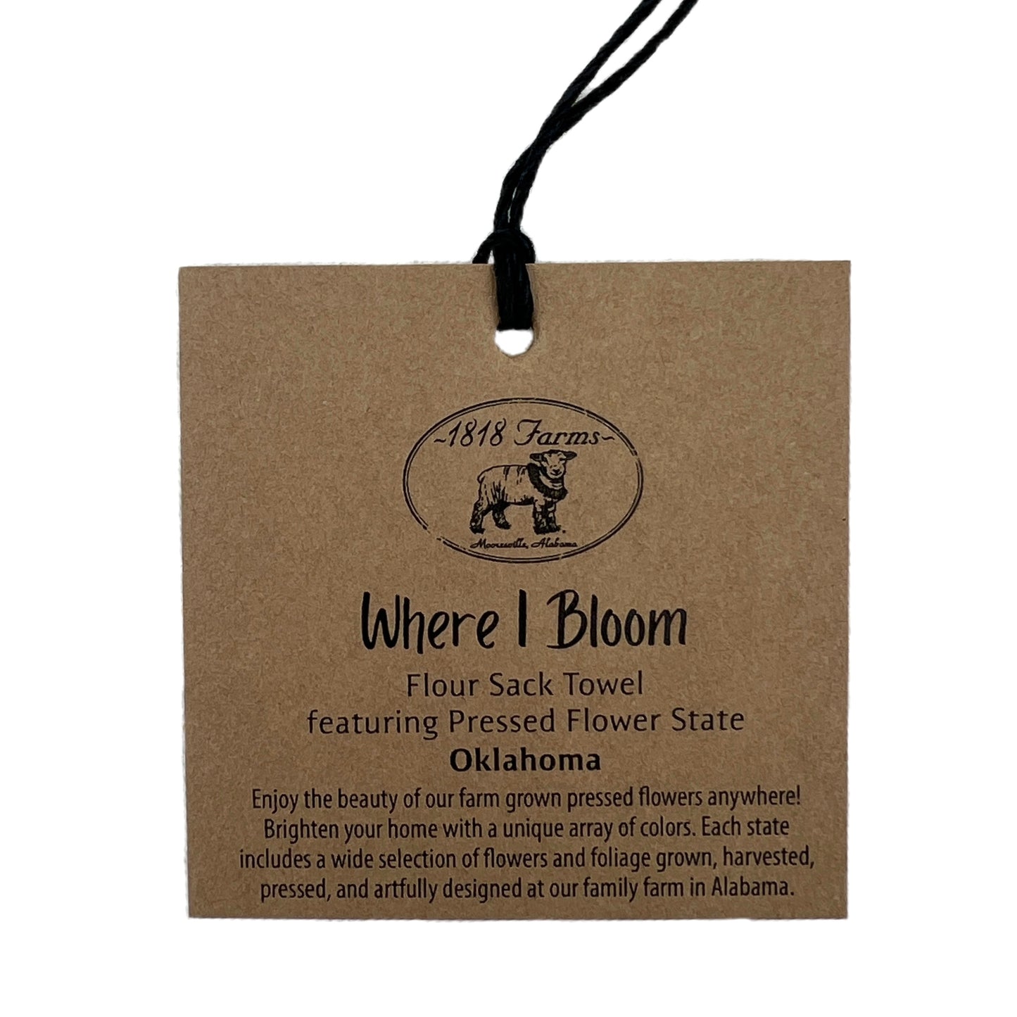 Oklahoma Themed Flour Sack Towel  - "Where I Bloom" Collection Towel 1818 Farms   