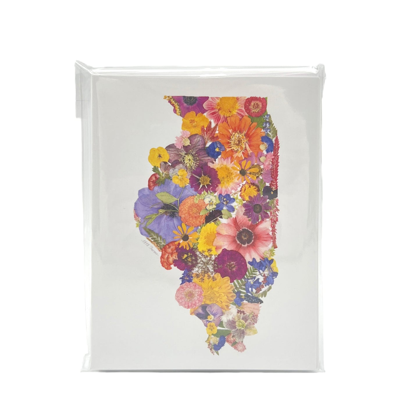 Illinois Themed Notecards (Set of 6)  - "Where I Bloom" Collection Notecard 1818 Farms   