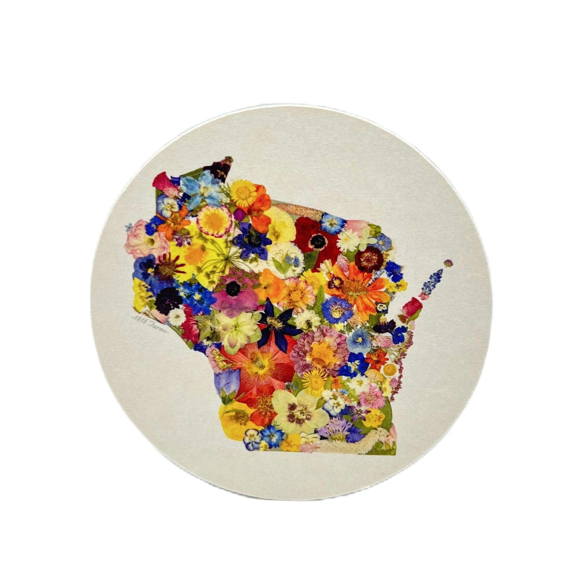 Wisconsin Themed Coasters (Set of 6) -