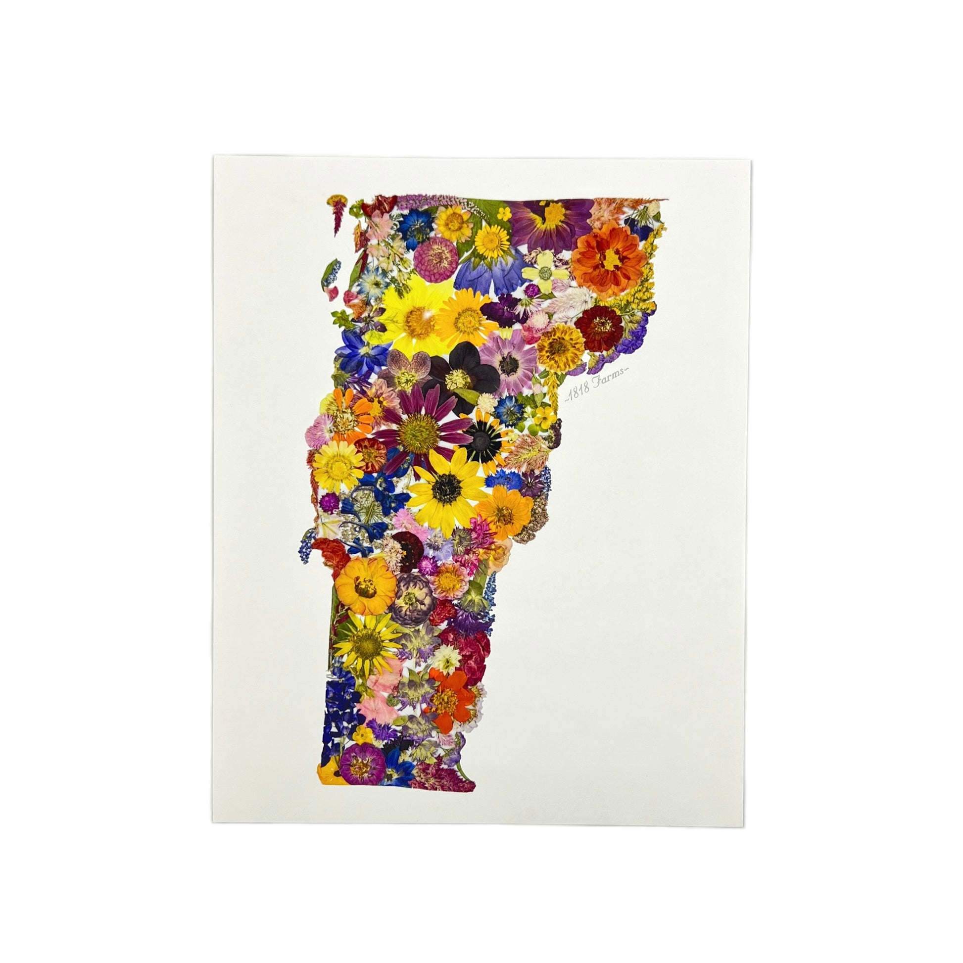 Vermont Themed Giclée Print  - "Where I Bloom" Collection Giclee Art Print 1818 Farms   