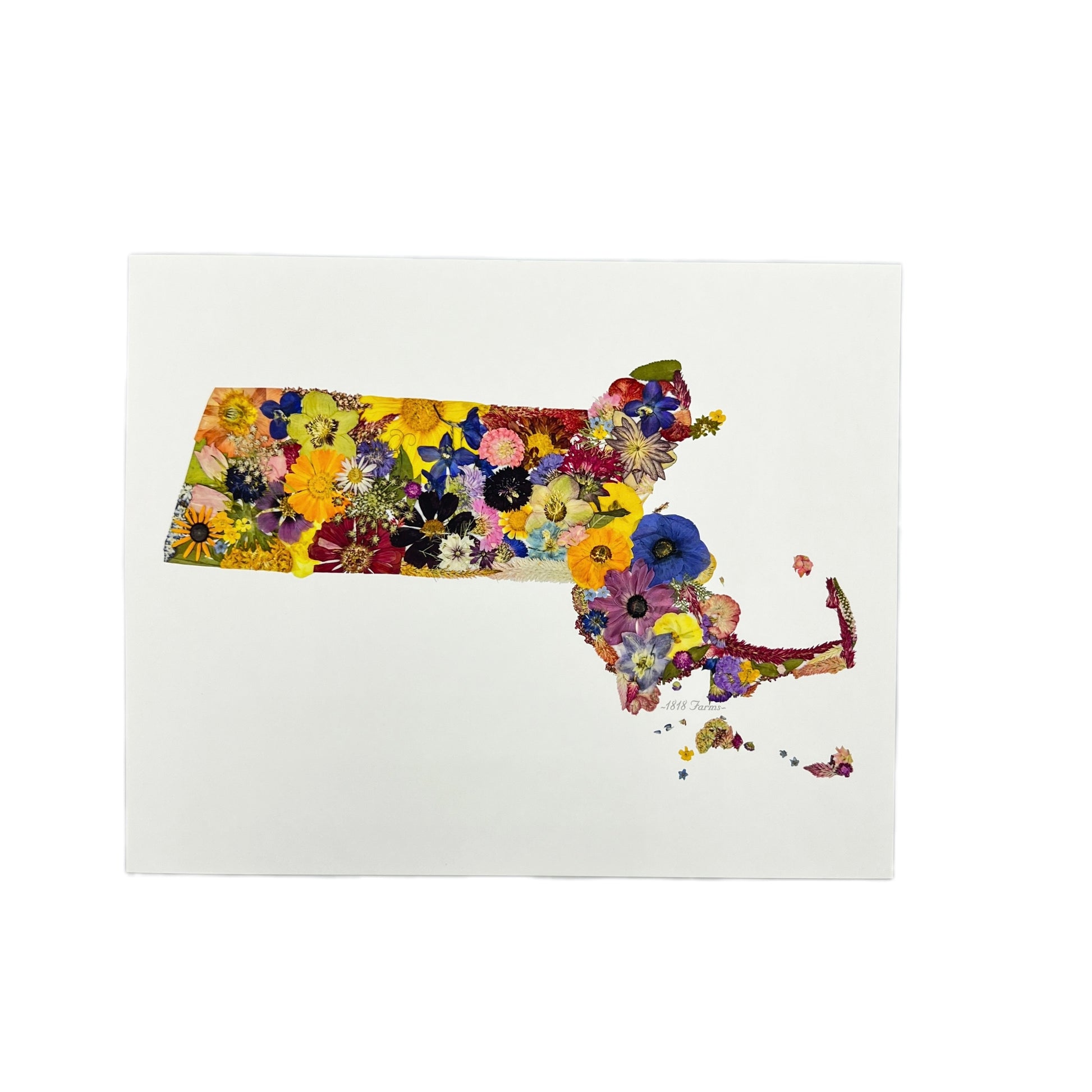 Massachusetts Themed Giclée Print  - "Where I Bloom" Collection Giclee Art Print 1818 Farms   