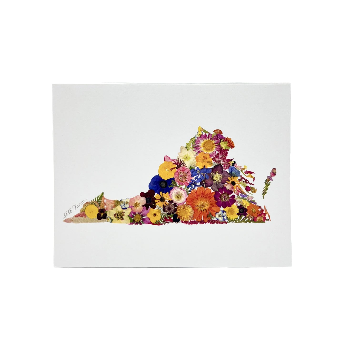 State Themed Notecards (Set of 6) Featuring Dried, Pressed Flowers - "Where I Bloom" Collection