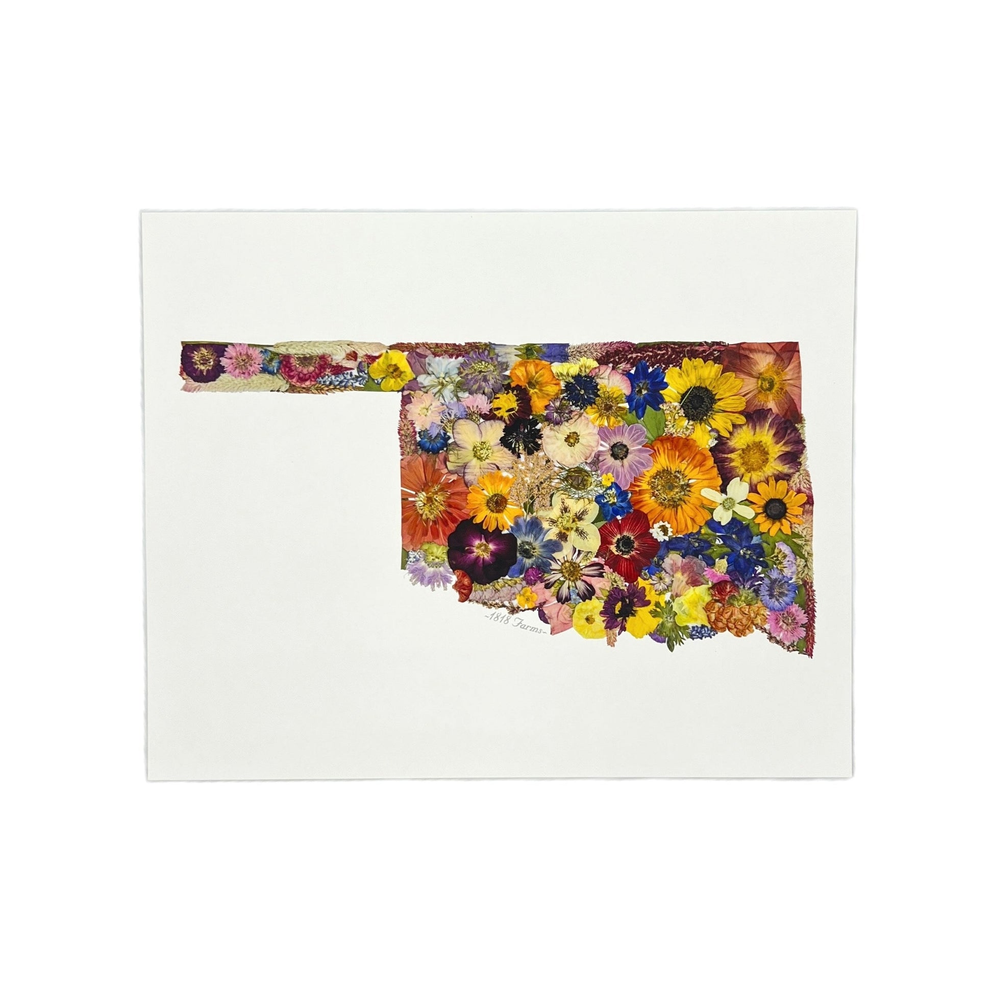 State Themed Giclée Print 8" x "10 - "Where I Bloom" Collection Giclee Art Print 1818 Farms Oklahoma  