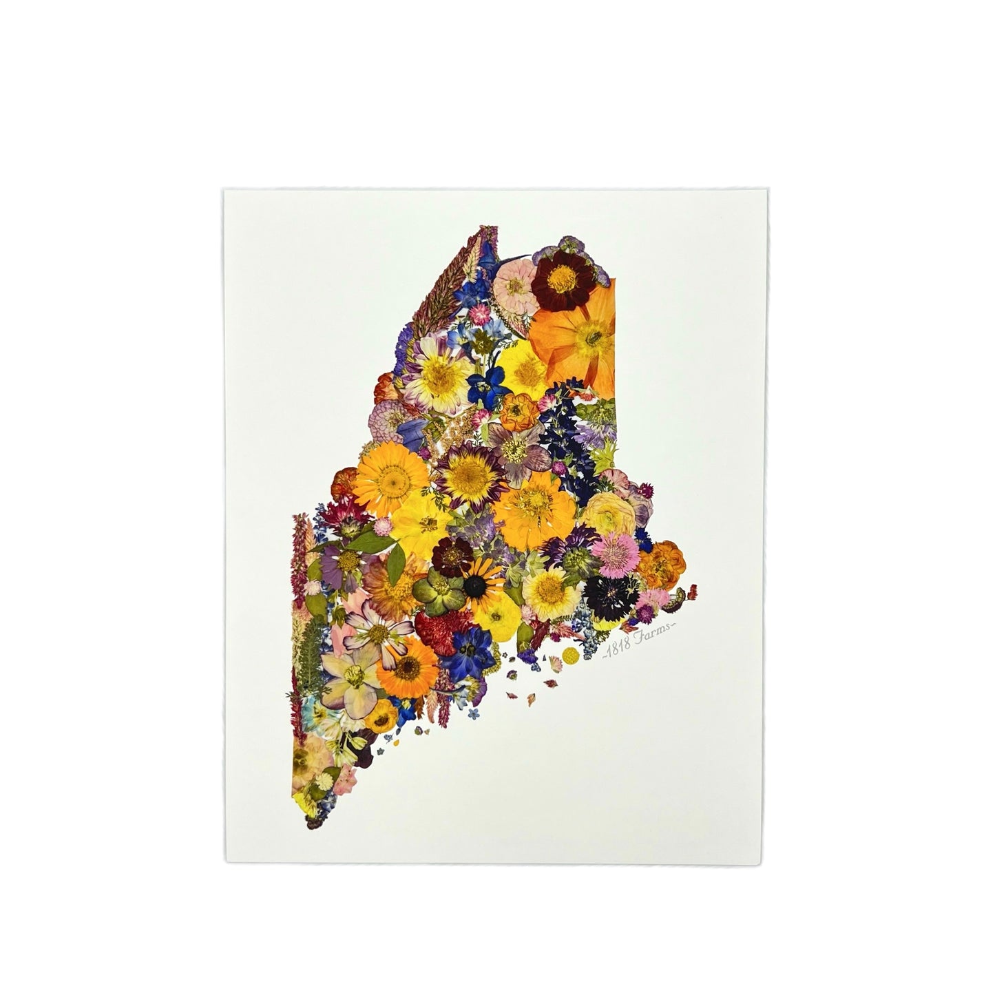 State Themed Giclée Print 16" x "20 - "Where I Bloom" Collection Giclee Art Print 1818 Farms Maine  