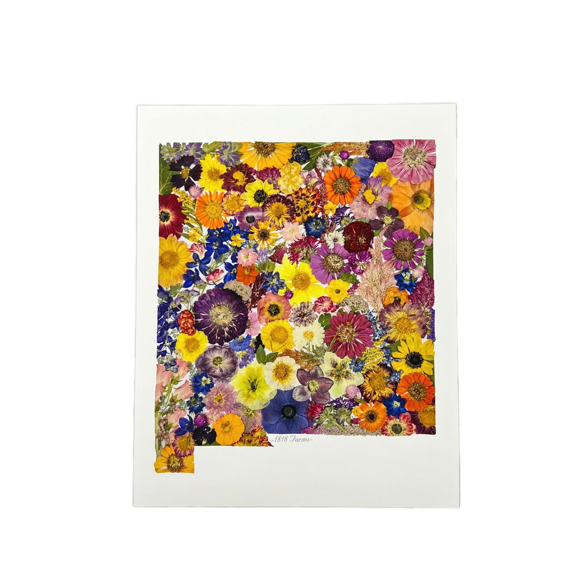 New Mexico Themed Giclée Print  - "Where I Bloom" Collection Giclee Art Print 1818 Farms   