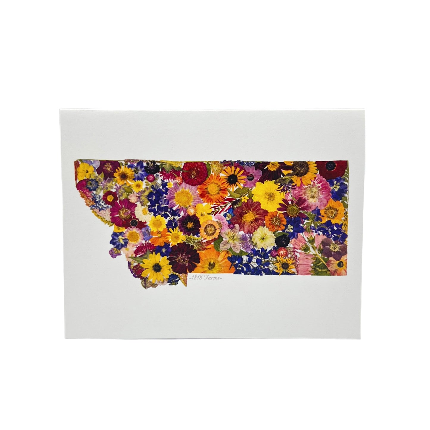 Montana Themed Notecards (Set of 6)  - "Where I Bloom" Collection Notecard 1818 Farms   