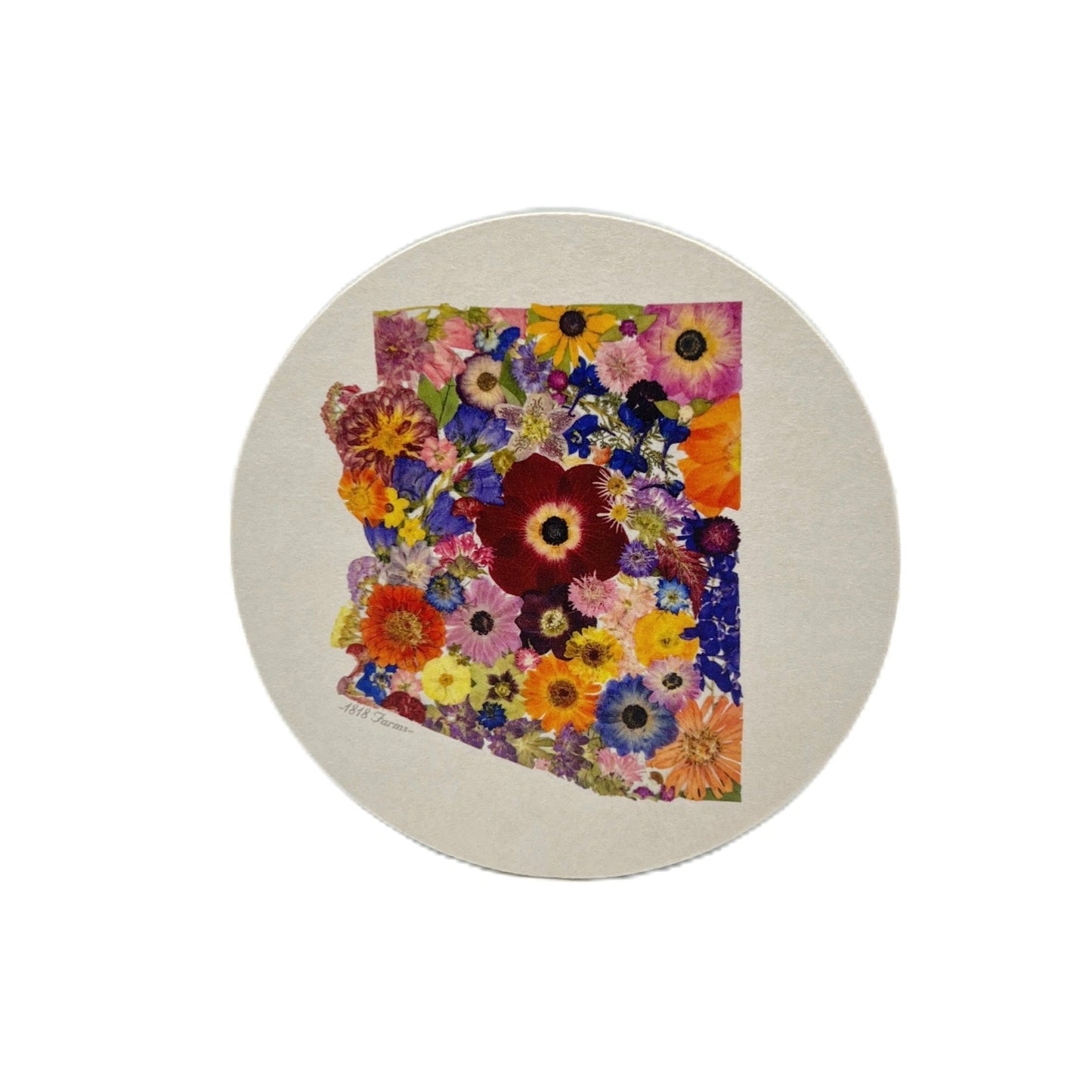 State Themed Drink Coasters (Set of 6)  - "Where I Bloom" Collection Coaster 1818 Farms Arizona  