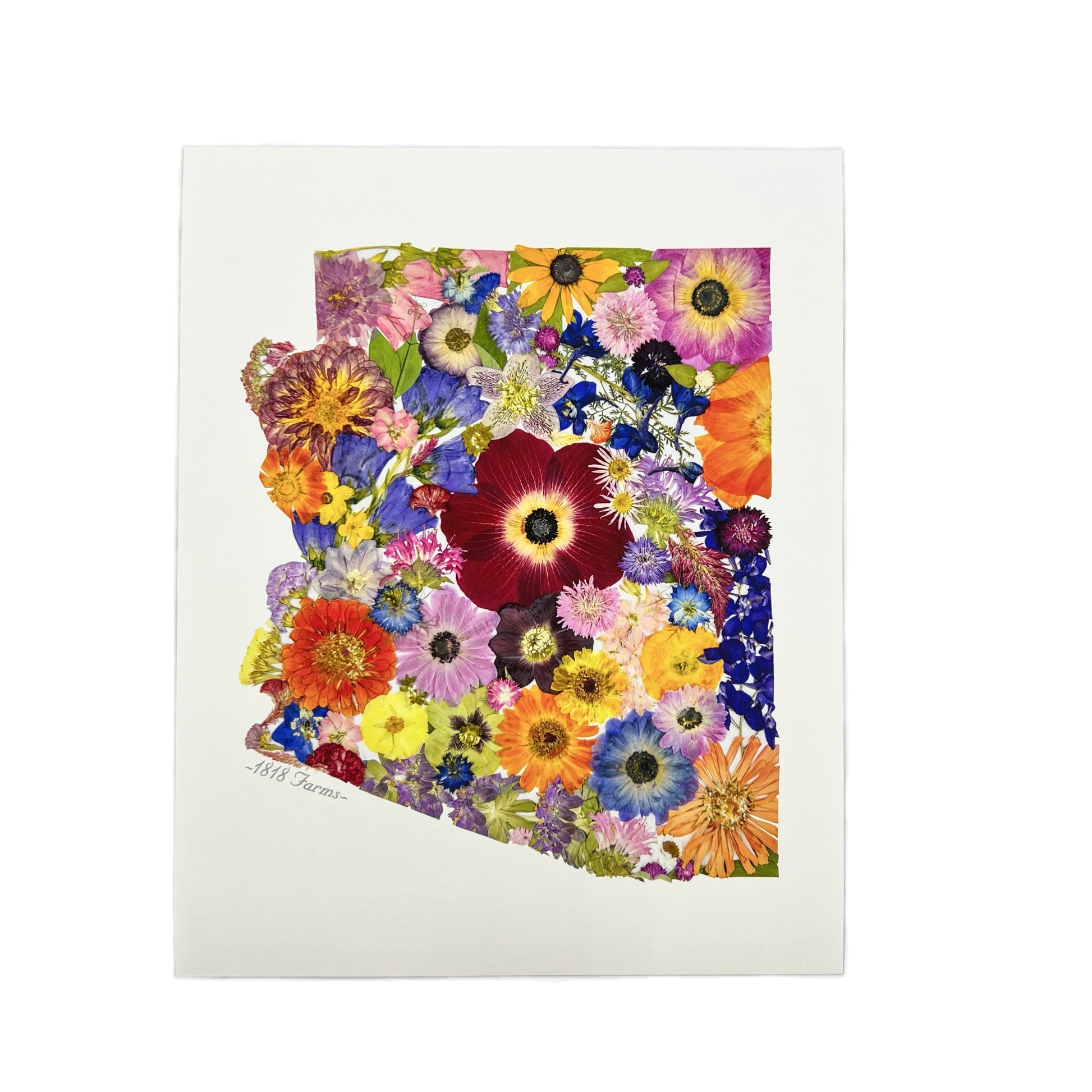 State Themed Giclée Print 8" x "10 - "Where I Bloom" Collection Giclee Art Print 1818 Farms Arizona  