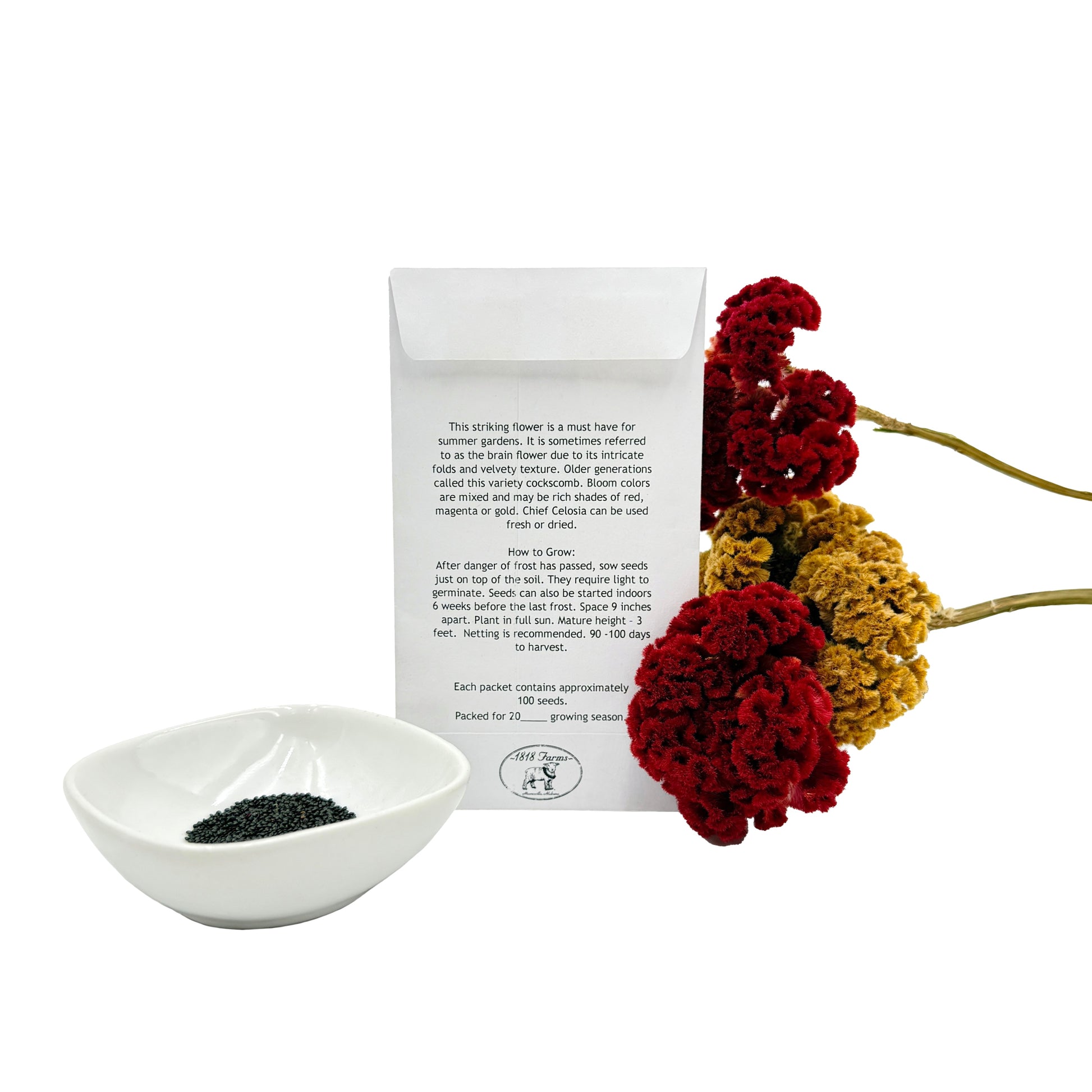 celosia asian garden seeds Chief Celosia Seeds