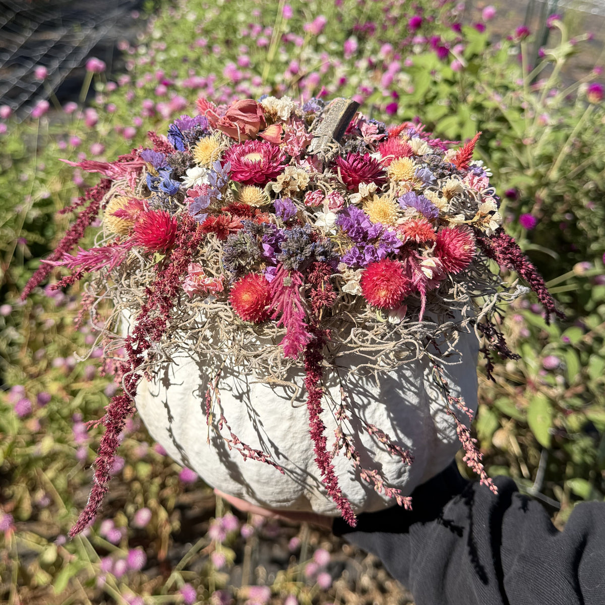 1818 Farms Dried Flower Pumpkin Decorating Workshop Classes & Events 1818 Farms