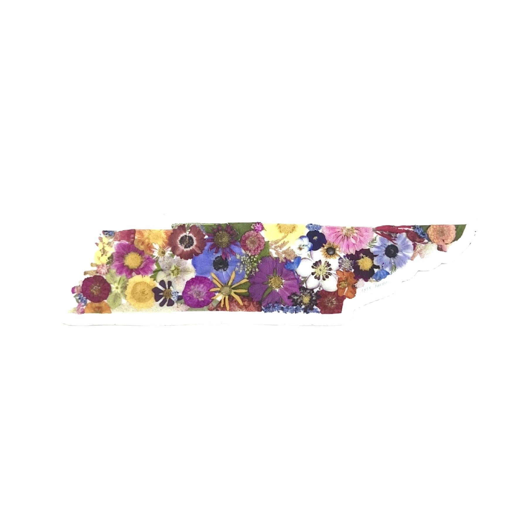Tennessee Themed Vinyl Sticker Featuring Dried, Pressed Flowers - "Where I Bloom" Collection Vinyl Sticker 1818 Farms   