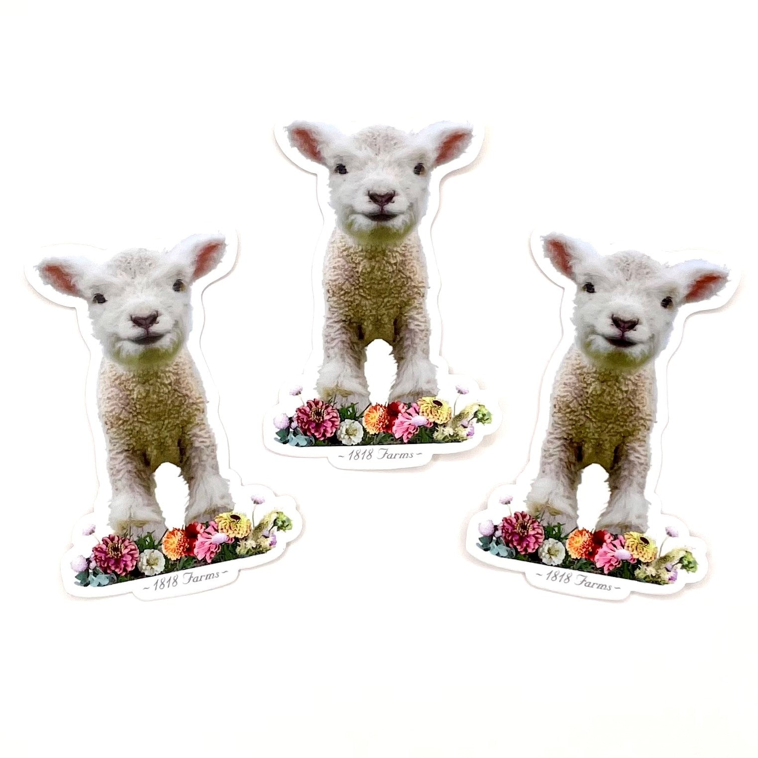 Sticker - Lamb with Flowers  1818 Farms   