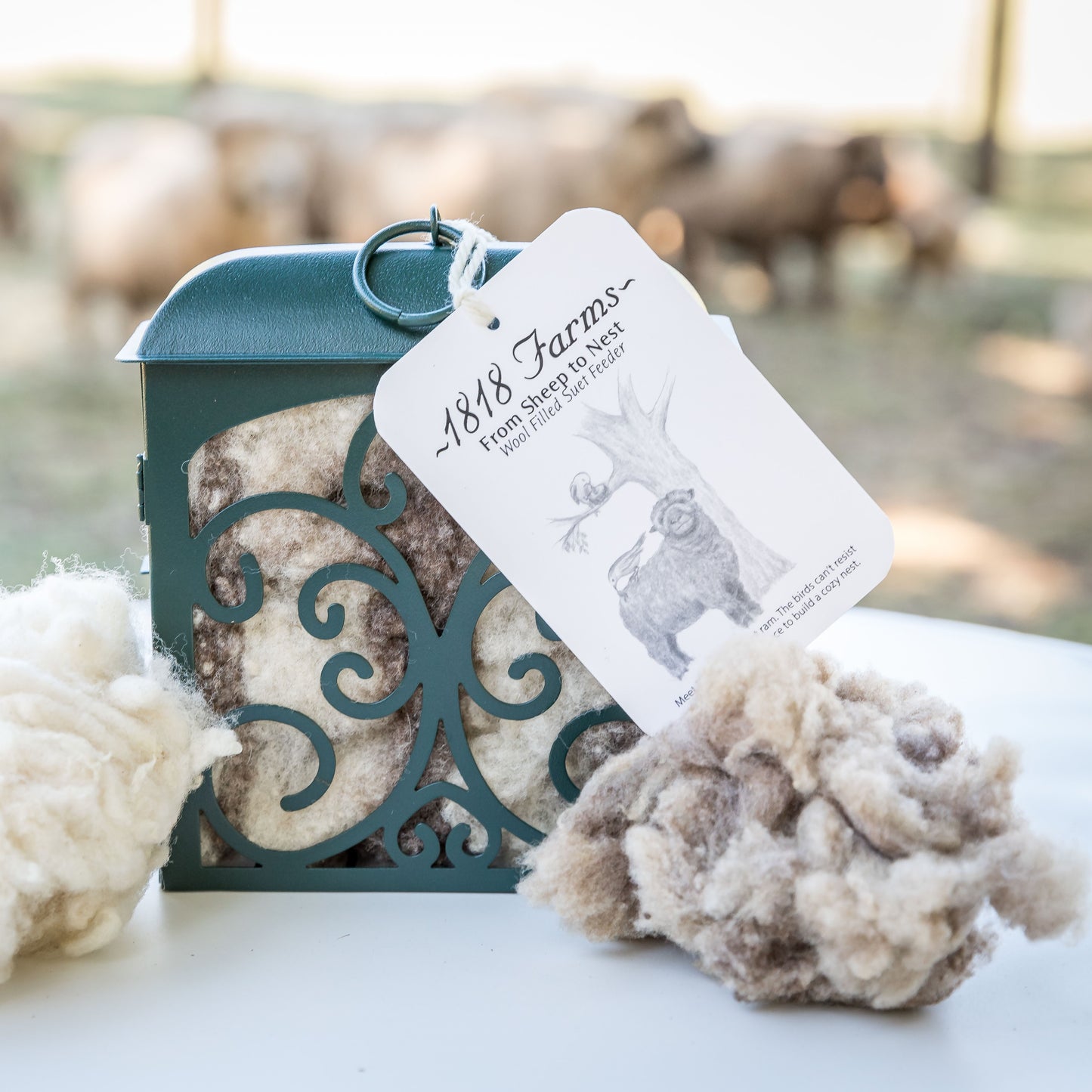 Sheep to Nest Backyard Lover's Gift Box Gift Basket 1818 Farms   