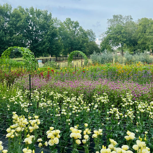 Schedule a Private Group Tour or Workshop at 1818 Farms Classes & Events 1818 Farms