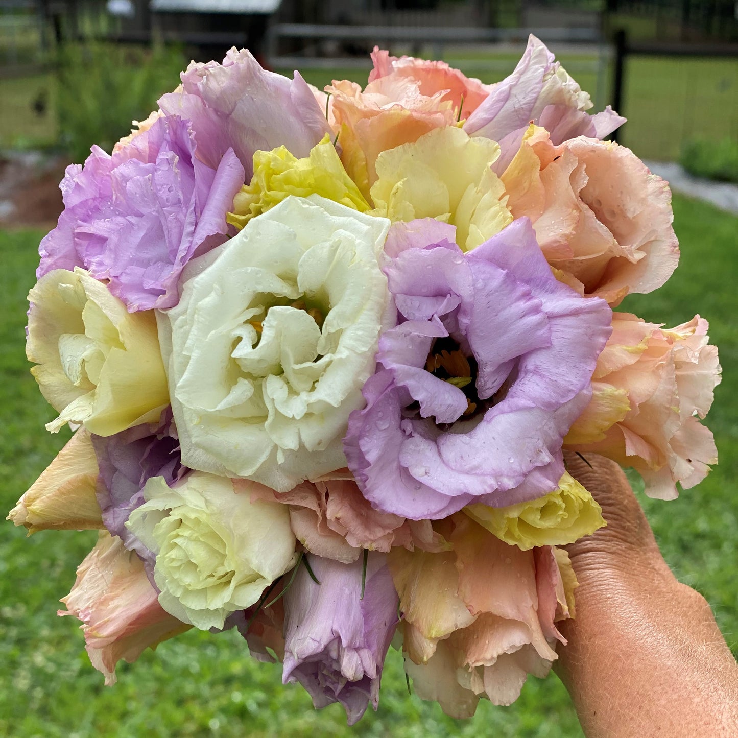 Bouquet Subscription