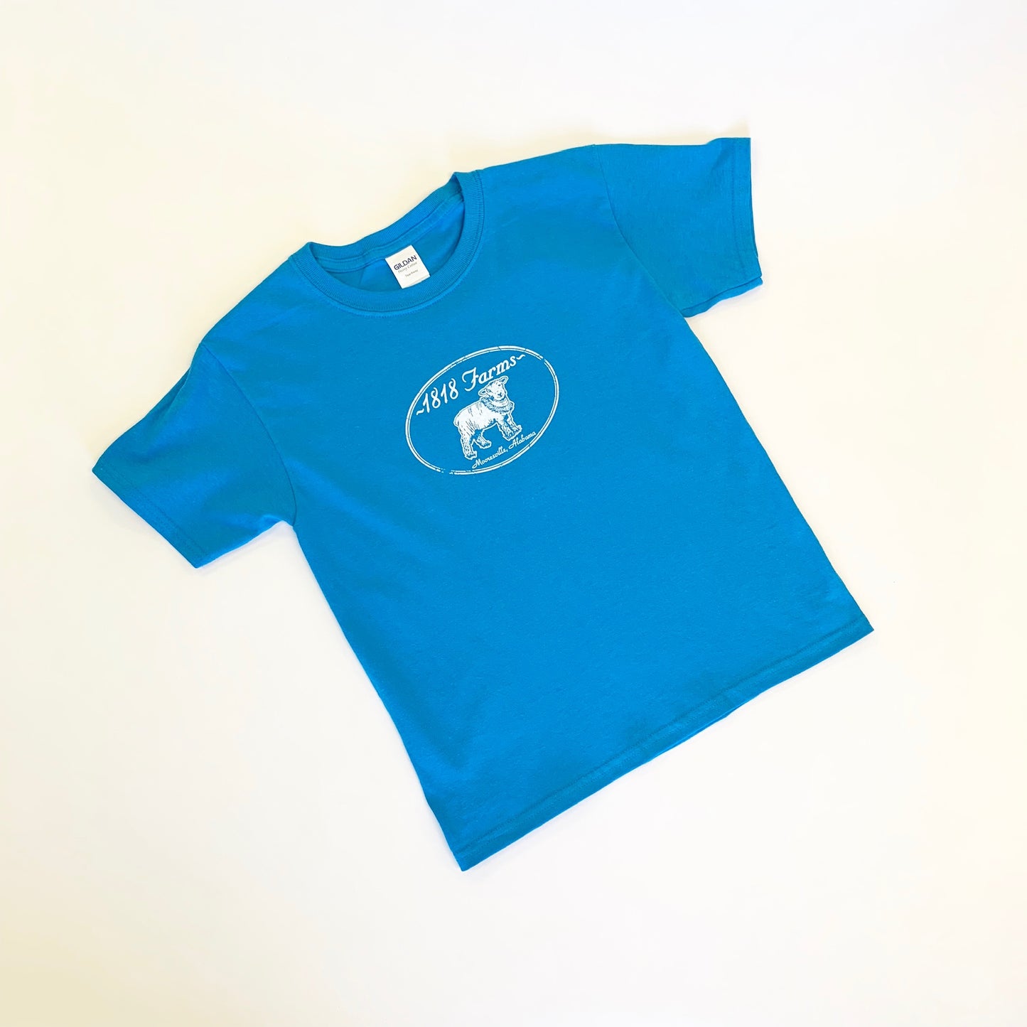 1818 Farms Youth T-Shirt T-Shirts 1818 Farms S Sapphire Blue (Youth) 