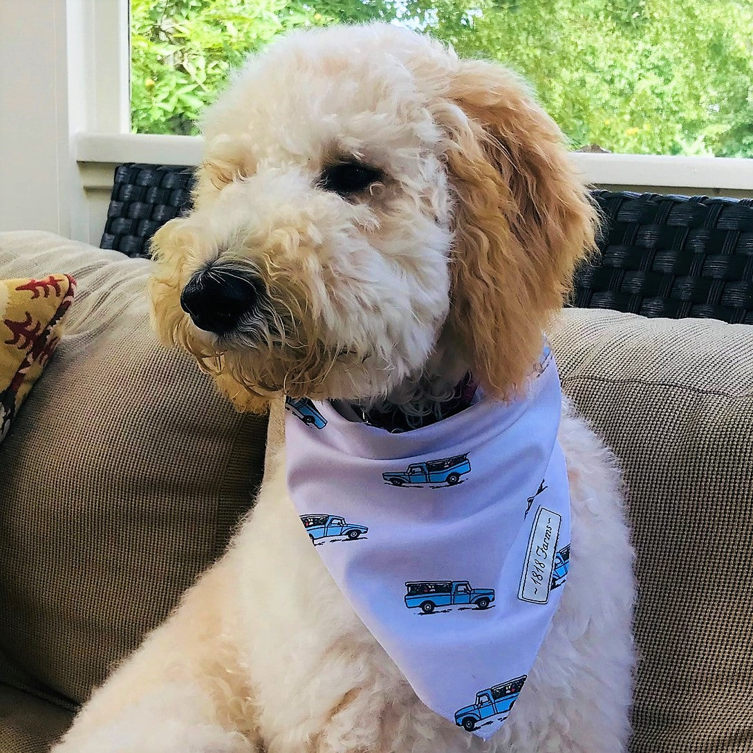 Pet Bandana | 1818 Farms